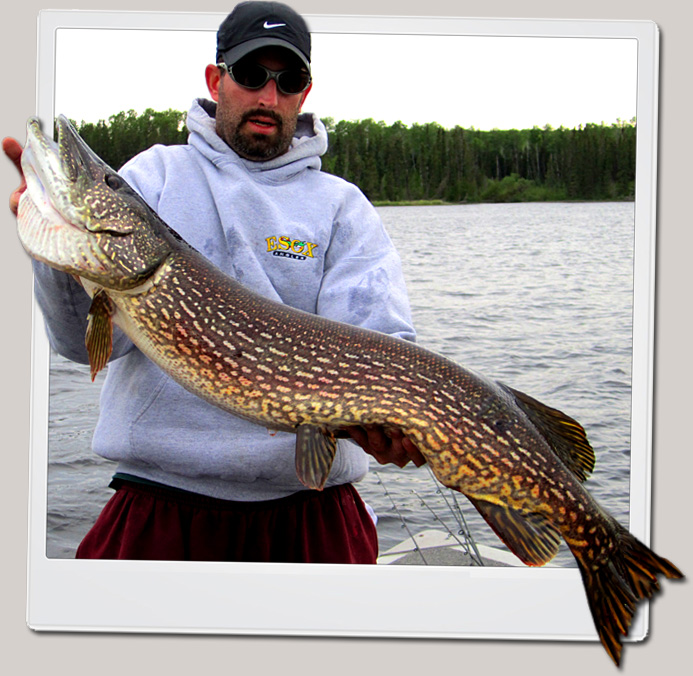 Ontario Northern Pike Fishing Nakina Canada