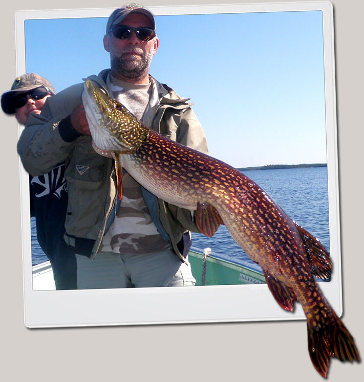 Ontario Northern Pike Fishing Nakina Canada